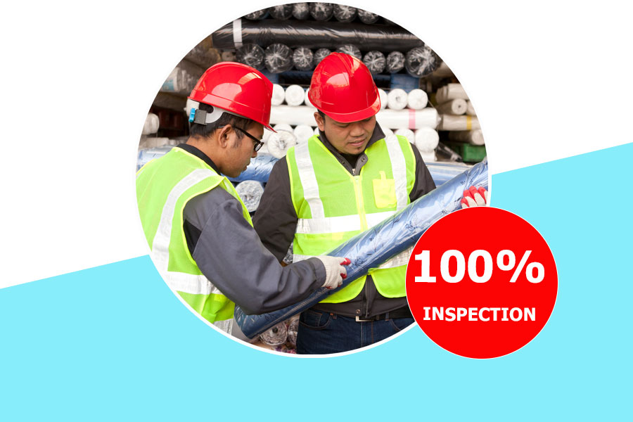 VietnamInspections_full-inspection